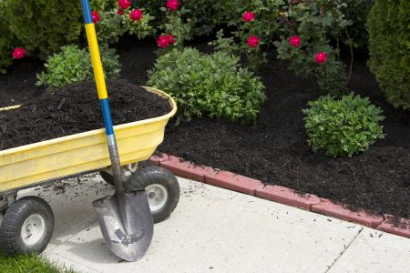 Mulch services