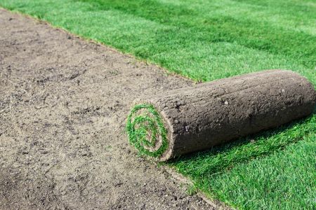 Sod installation